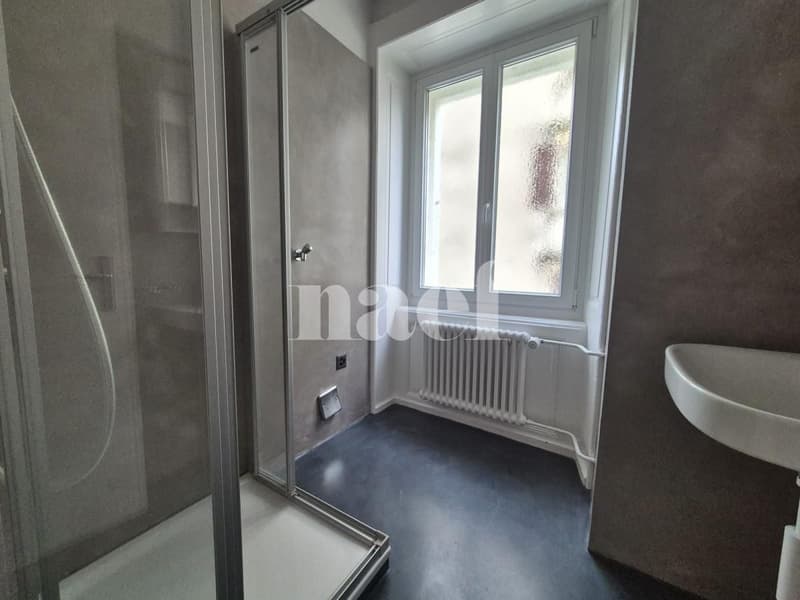 Appartamento di 3 locali affascinante in un quartiere tranquillo (6)
