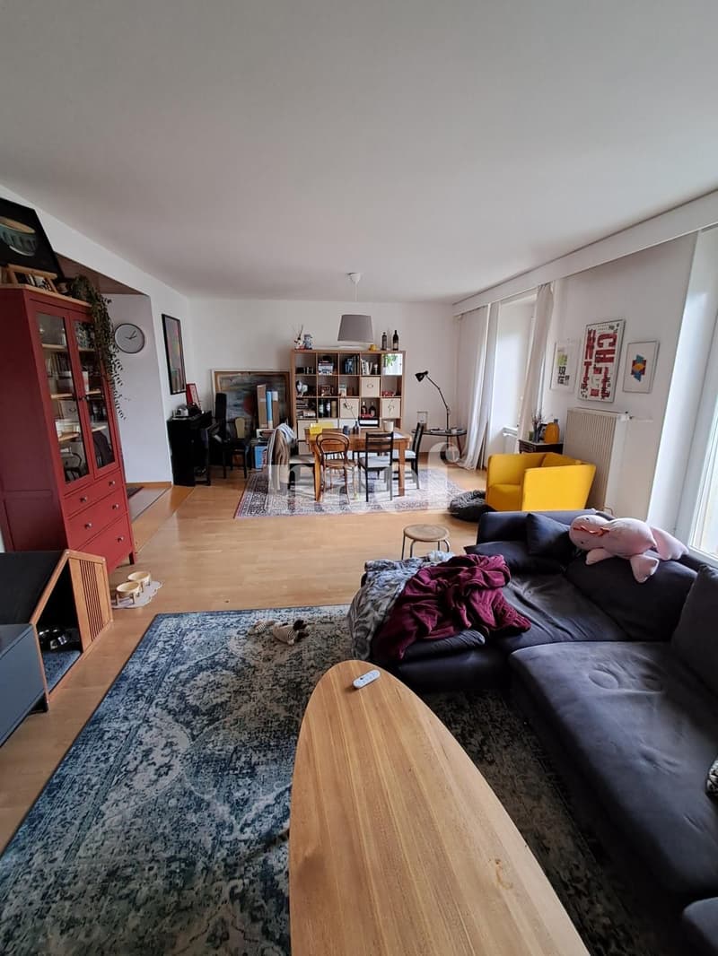 Grand 4.5 pièces moderne (4)