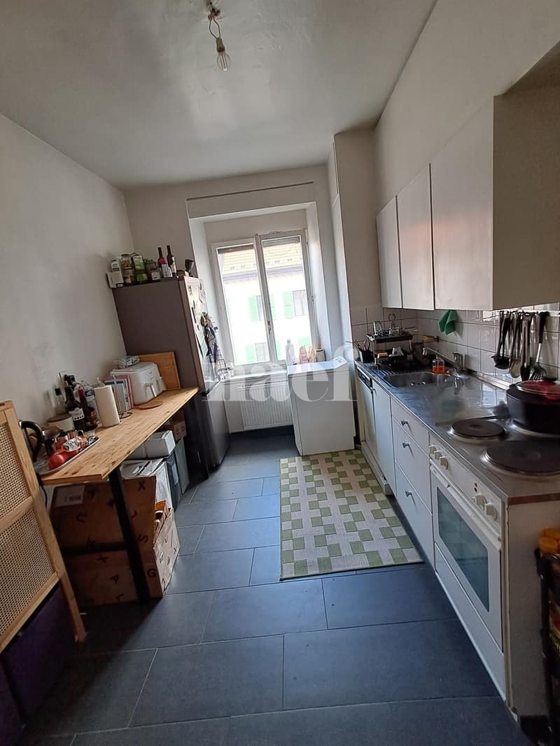 Grand 4.5 pièces moderne (1)