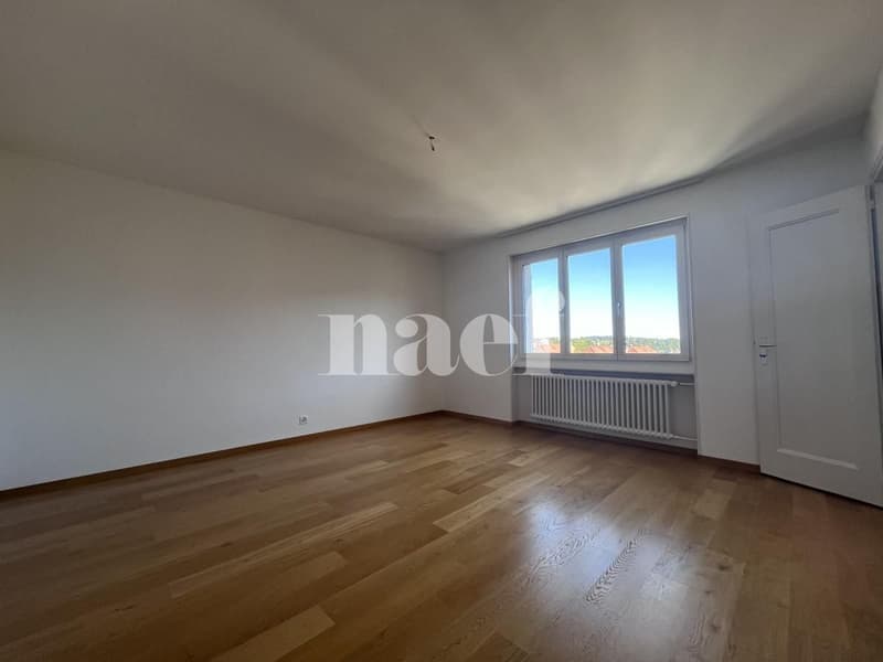 4 pezzi completamente rinnovati (2)