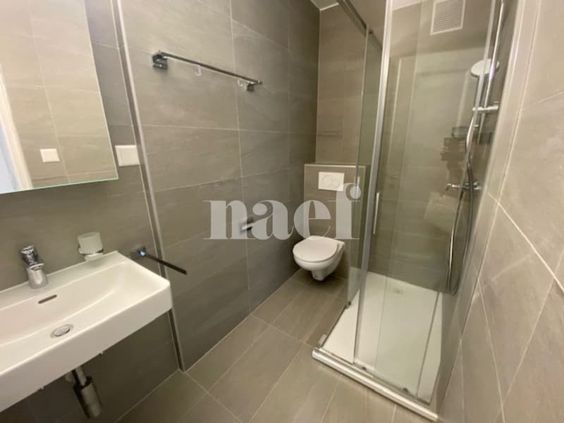 Magnifique appartement de 2.5 pièces au troisième étage (2)
