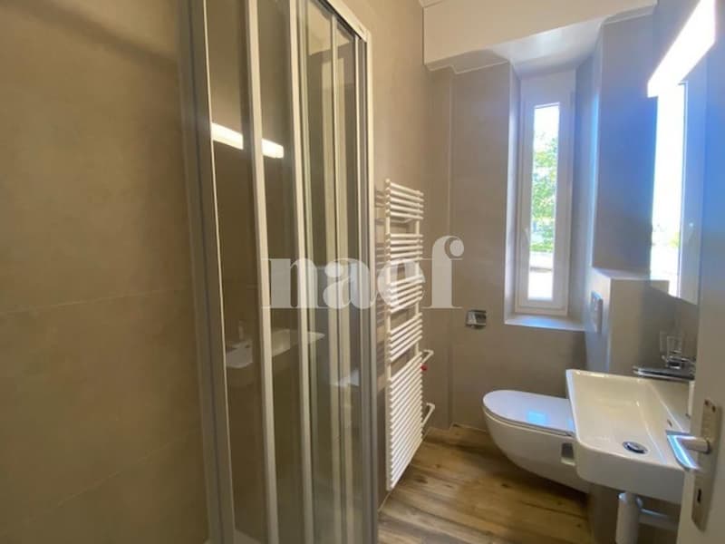 Entièrement rénové - 4 pièces dans un quartier calme (8)