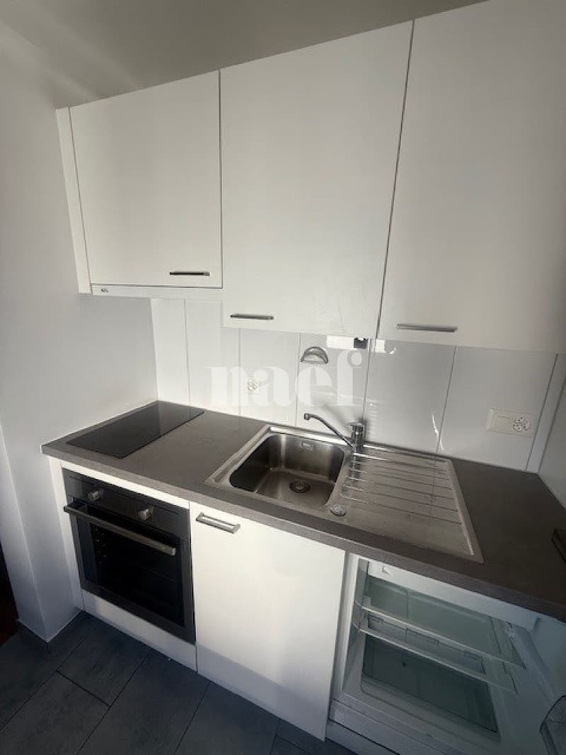 Appartement de 1.5 pièces au 5e étage avec ascenseur (3)