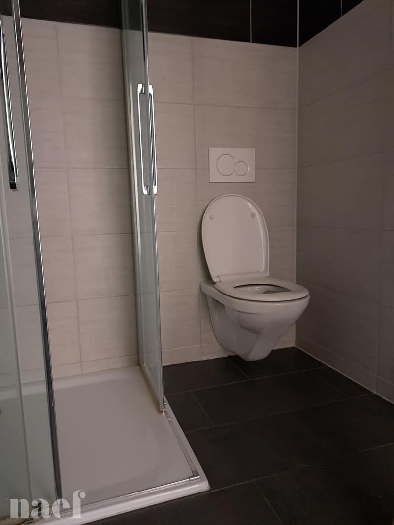Magnifique 3.5 pièces moderne d'environ 78m2 (12)