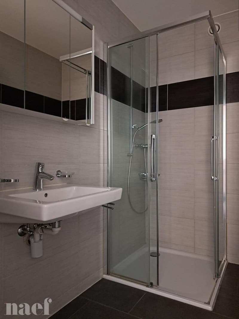 Magnifique 3.5 pièces moderne d'environ 78m2 (11)