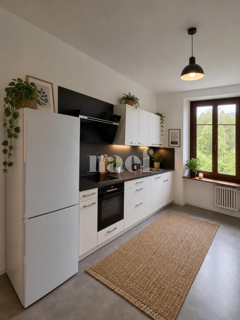 Appartement de 3 pièces avec cachet rénové (2)