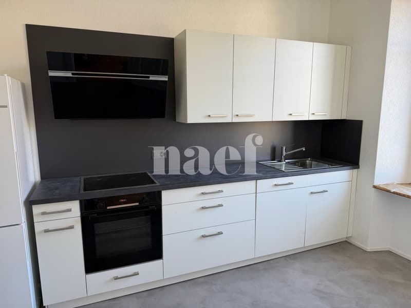 Appartement de 3 pièces avec cachet rénové (9)
