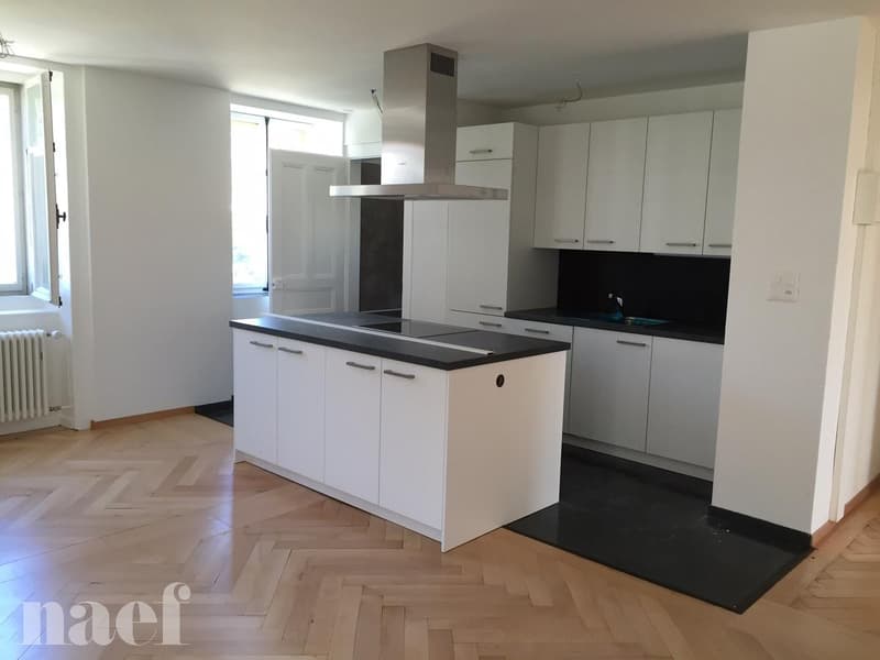 Magnifique appartement lumineux avec cachet de 3 pièces (1)