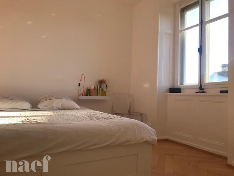 Magnifique appartement lumineux avec cachet de 3 pièces (9)