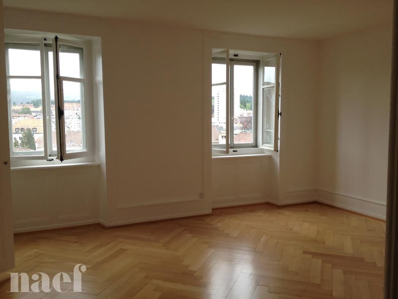 Magnifique appartement lumineux avec cachet de 3 pièces (4)