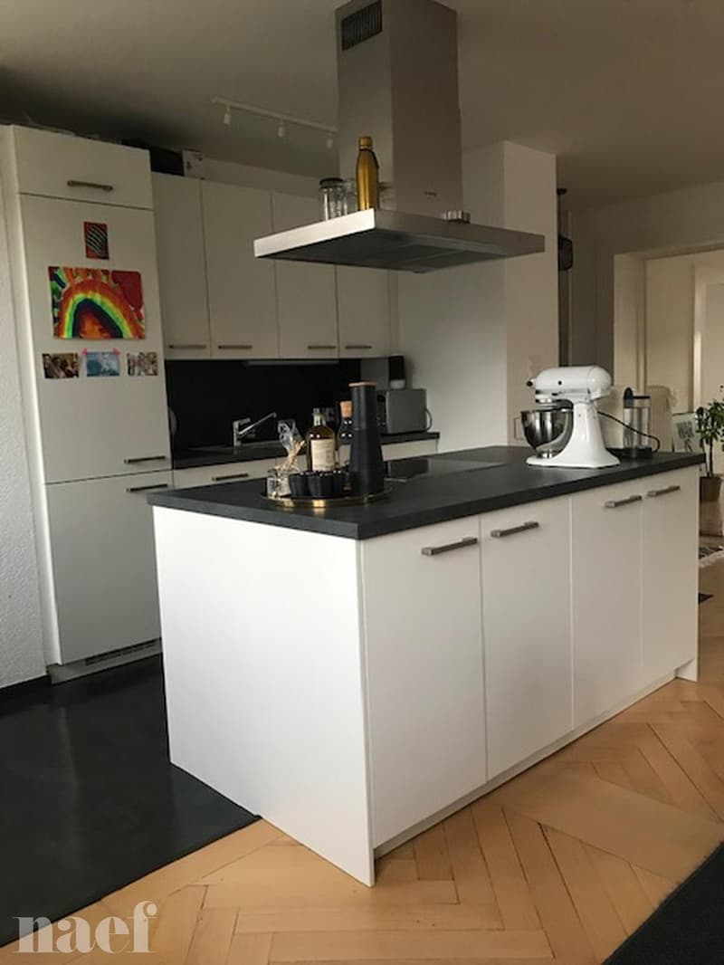 Magnifique appartement lumineux avec cachet de 3 pièces (3)