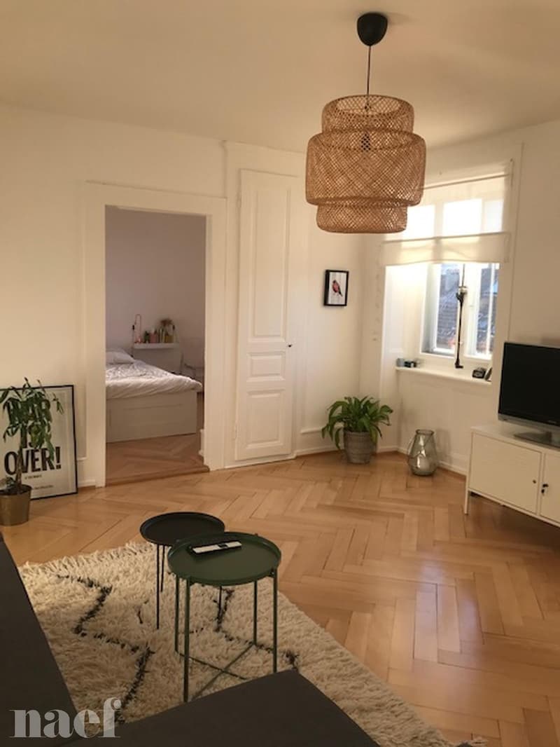 Magnifique appartement lumineux avec cachet de 3 pièces (7)