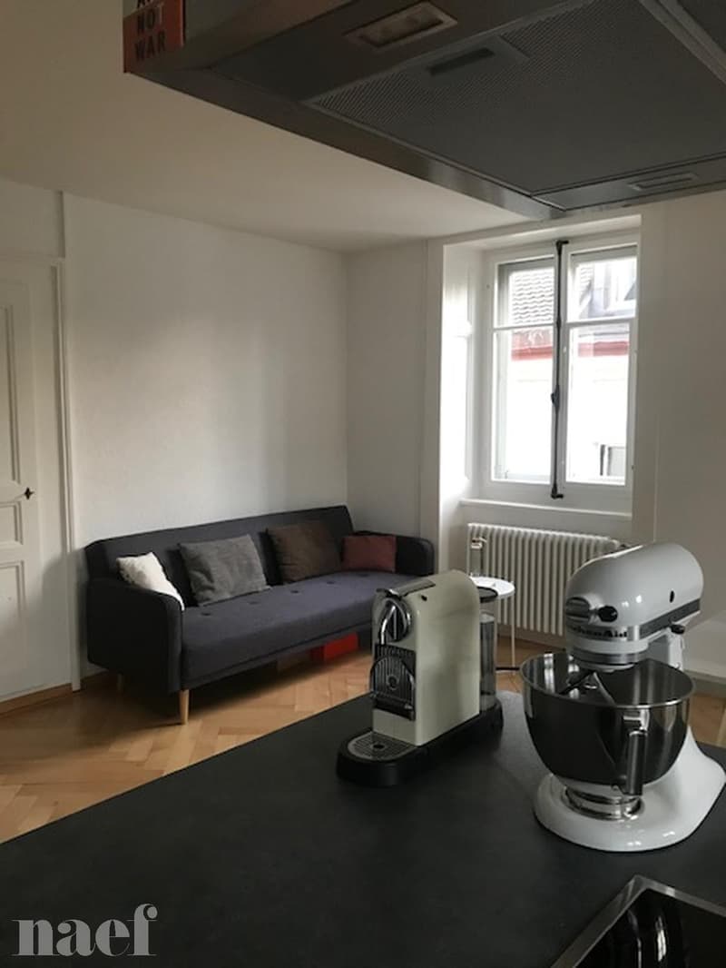 Magnifique appartement lumineux avec cachet de 3 pièces (6)