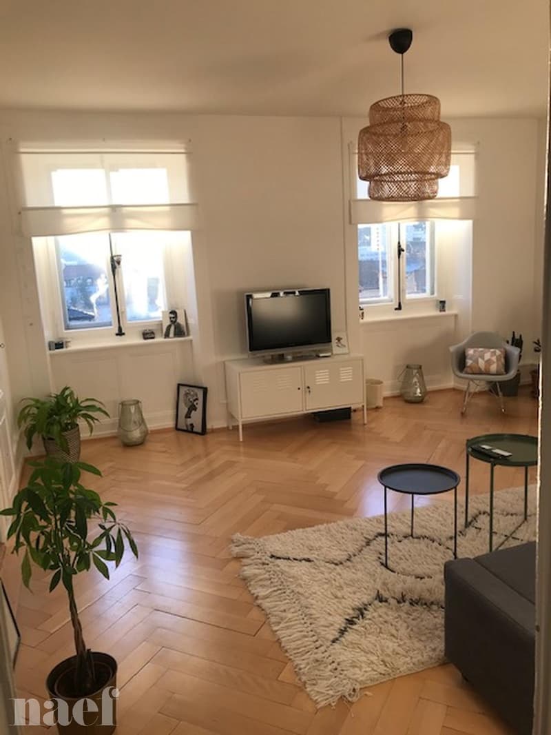 Magnifique appartement lumineux avec cachet de 3 pièces (5)