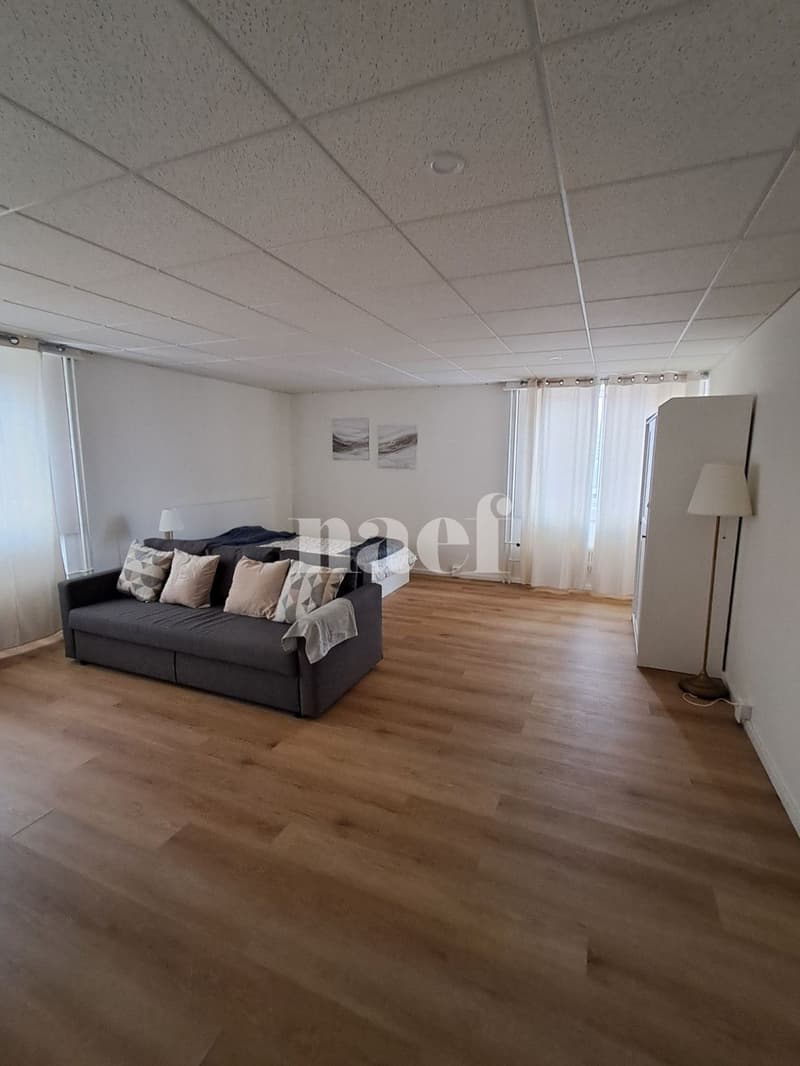 Appartement MEUBLÉ (à choix) de 2 pièces (2)