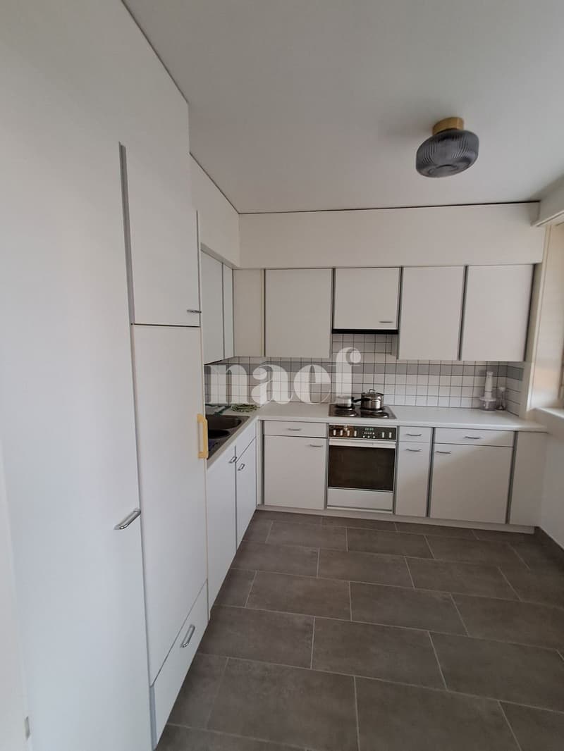 Appartement MEUBLÉ (à choix) de 2 pièces (3)