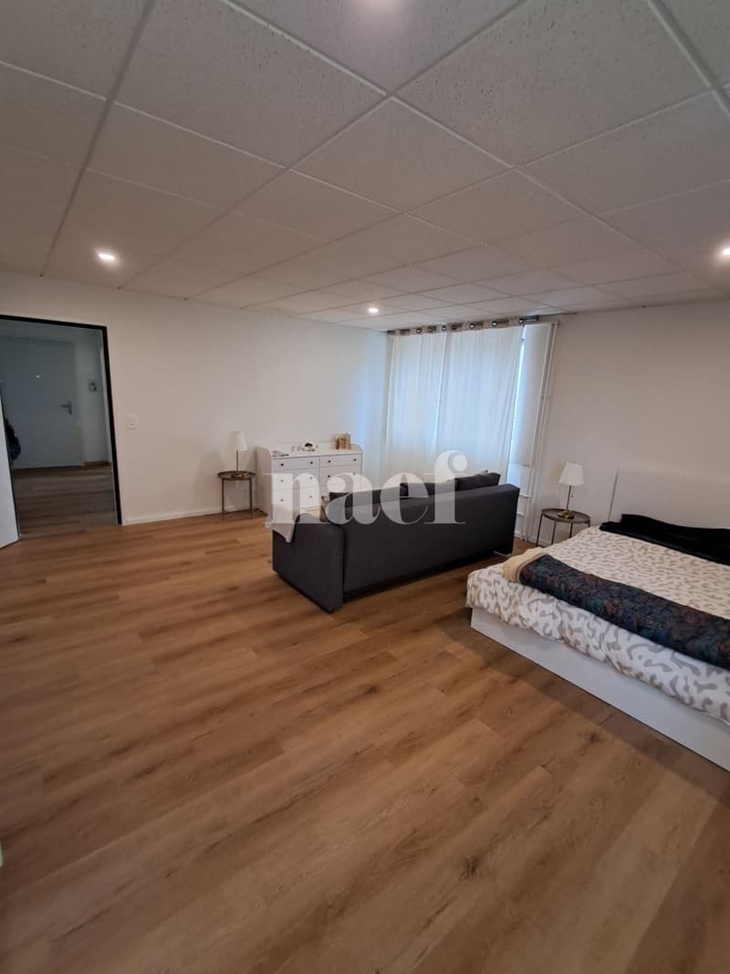 Appartement MEUBLÉ (à choix) de 2 pièces (1)