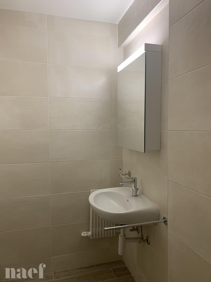 Bel appartement rénové de 2.5 pièces (12)