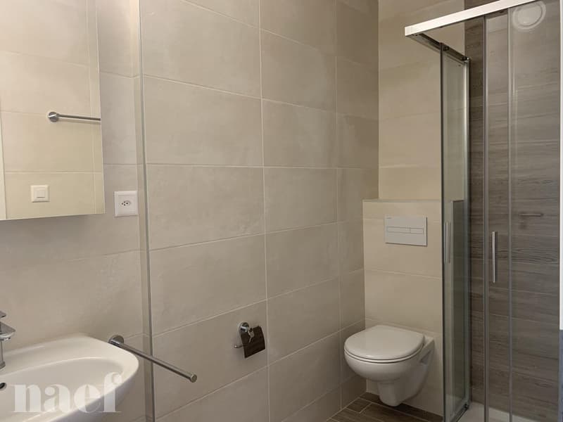 Bel appartement rénové de 2.5 pièces (10)