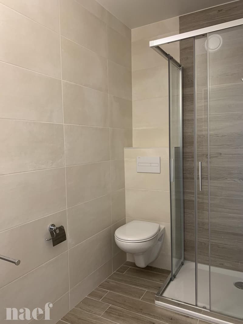 Bel appartement rénové de 2.5 pièces (11)