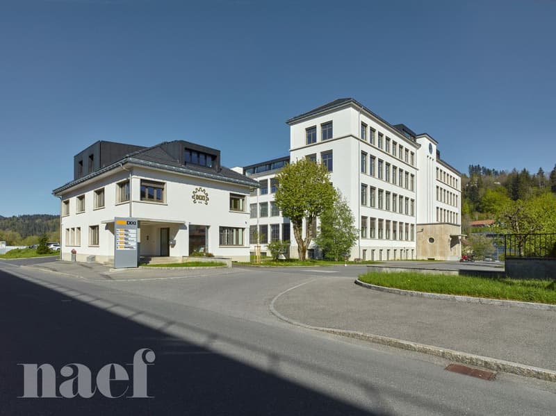 Surface industrielle avec salles blanches certifiées (4)