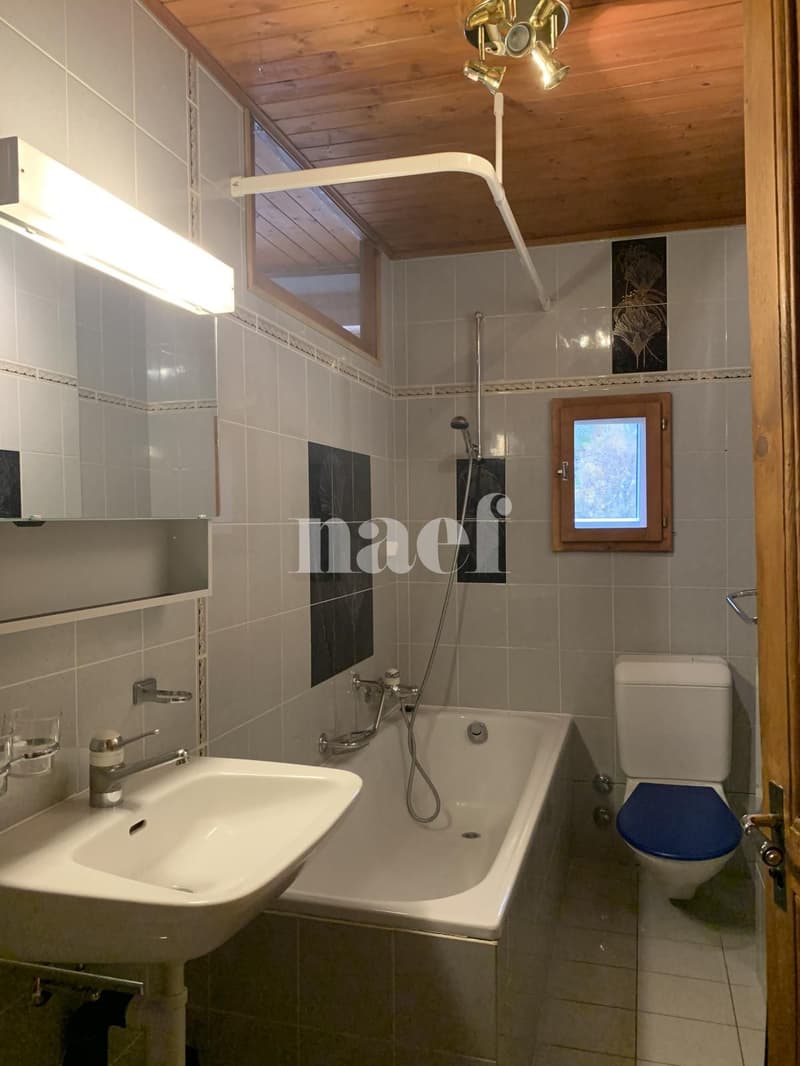 Duplex spacieux et lumineux de 6.5 pièces avec jardin commun (11)