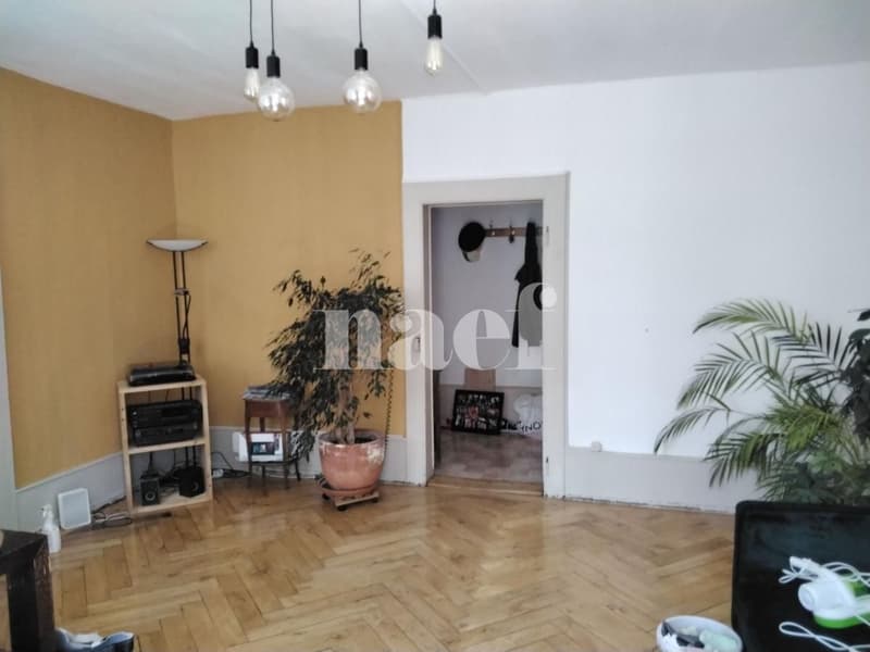 Appartement de 3 pièces proche de la place du marché (8)
