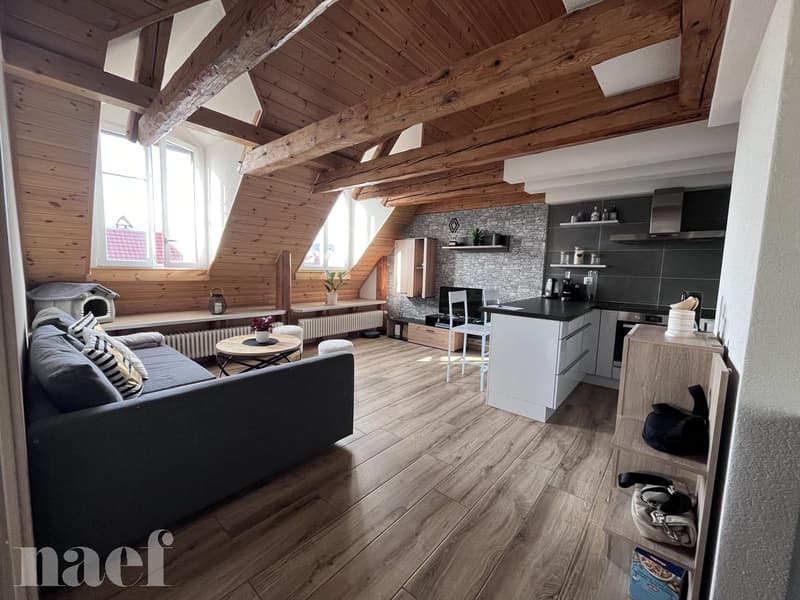 Magnifique appartement de 3.5 pièces proche du centre-ville (2)