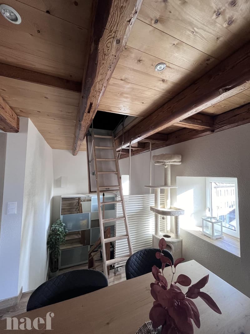 Magnifique appartement de 3.5 pièces proche du centre-ville (6)