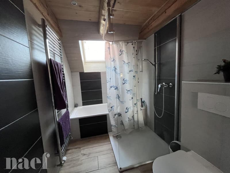 Magnifique appartement de 3.5 pièces proche du centre-ville (10)