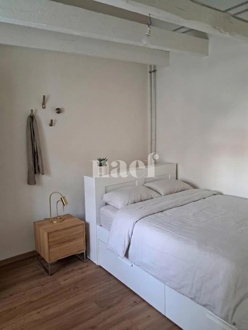 Appartement de 1.5 pièces au 5e étage avec ascenseur (3)