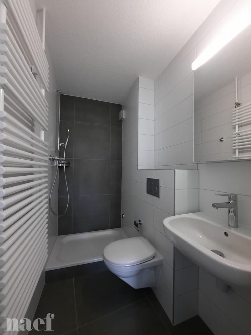 Appartement de 2.5 pièces au 3e étage (7)