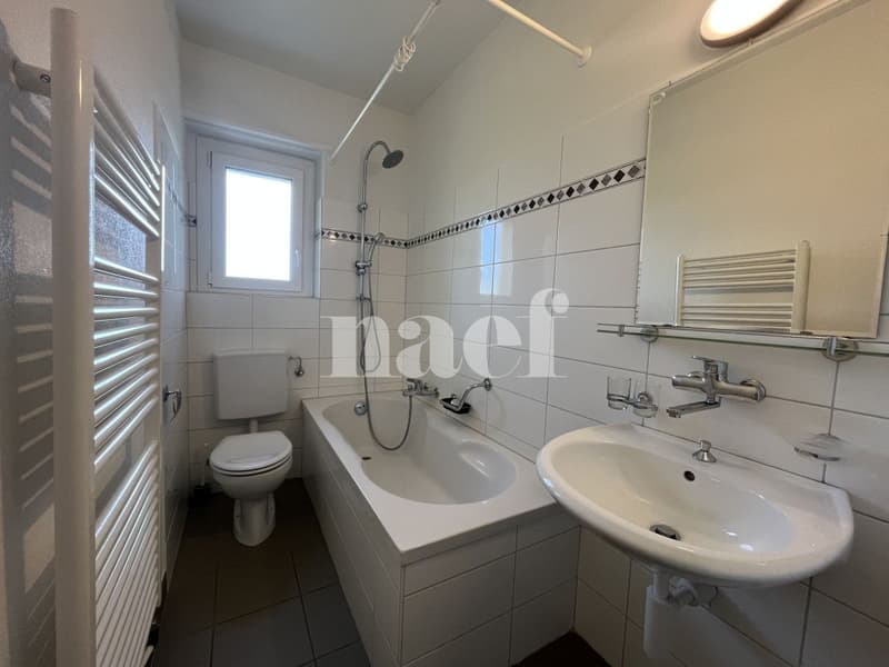 Magnifique appartement de 3 pièces au 2ème étage (5)