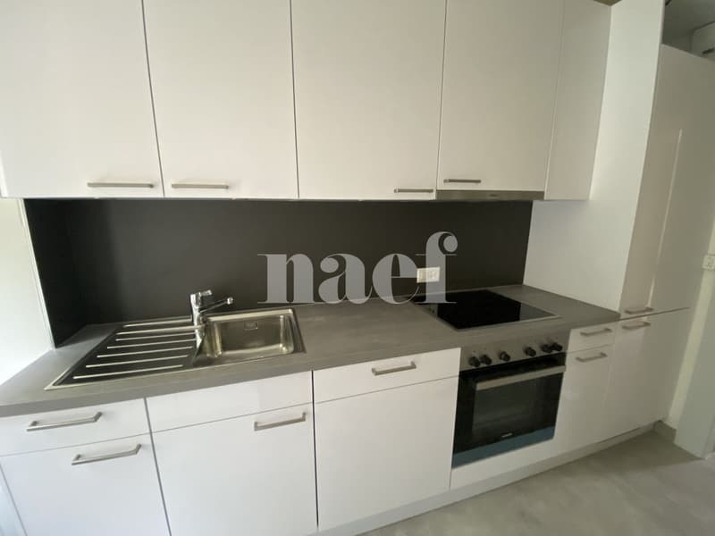 Bel appartement de 3 pièces au rez-de-chaussée (2)