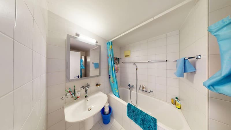 Geräumige, 5.5-Zimmer Gartenwohnung inkl. Einstellhallenplatz und Bastelraum (10)