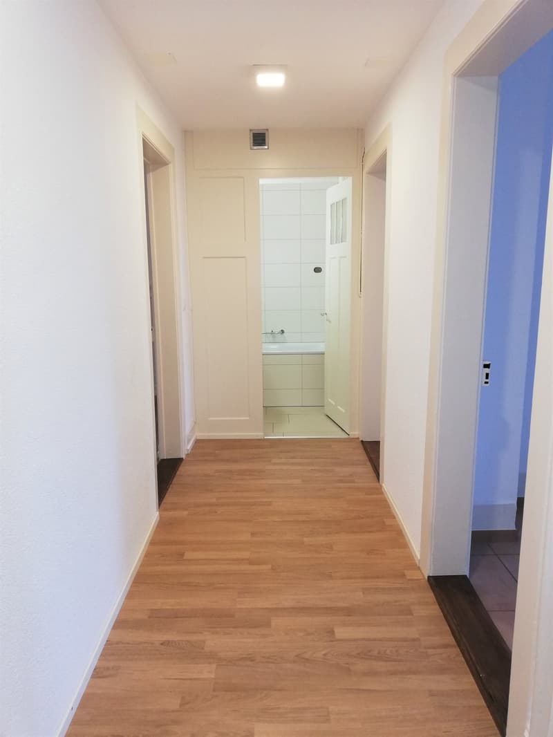 Charmant appartement de 3 pièces dans un immeuble ancien à St. Gallen (3)
