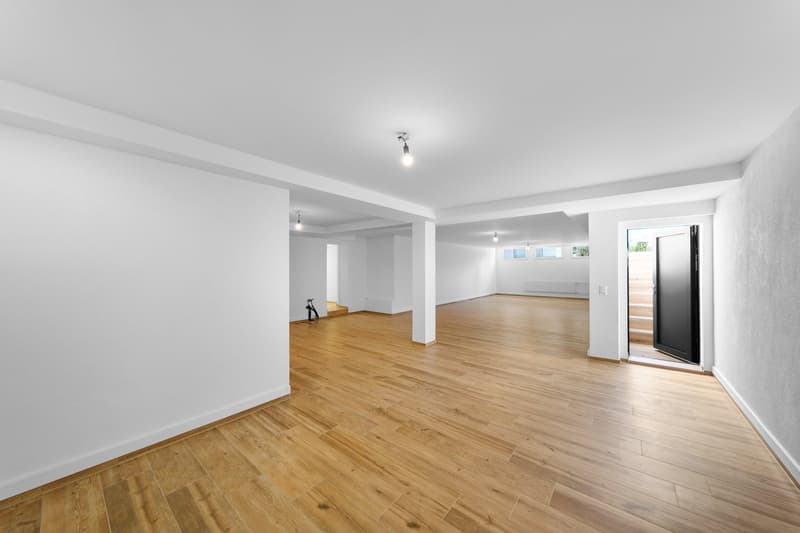 Versatile commercial property in the basement in Egnach (3)