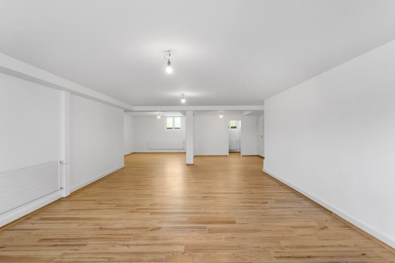 Versatile commercial property in the basement in Egnach (7)