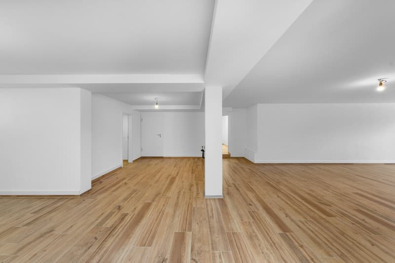 Versatile commercial property in the basement in Egnach (5)