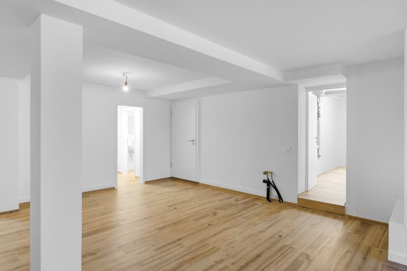 Versatile commercial property in the basement in Egnach (8)