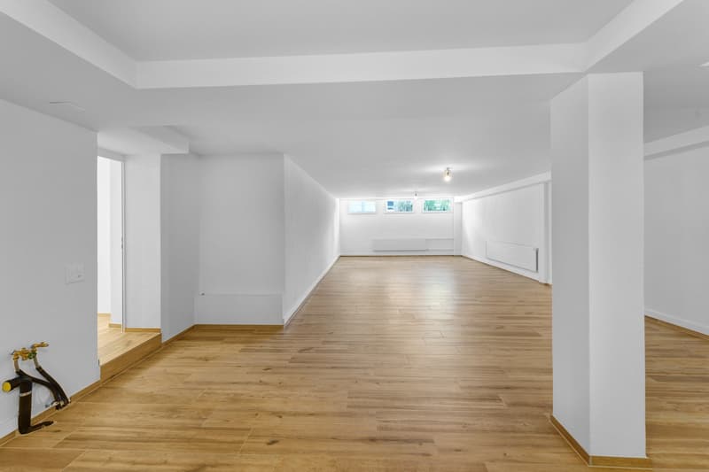 Versatile commercial property in the basement in Egnach (4)