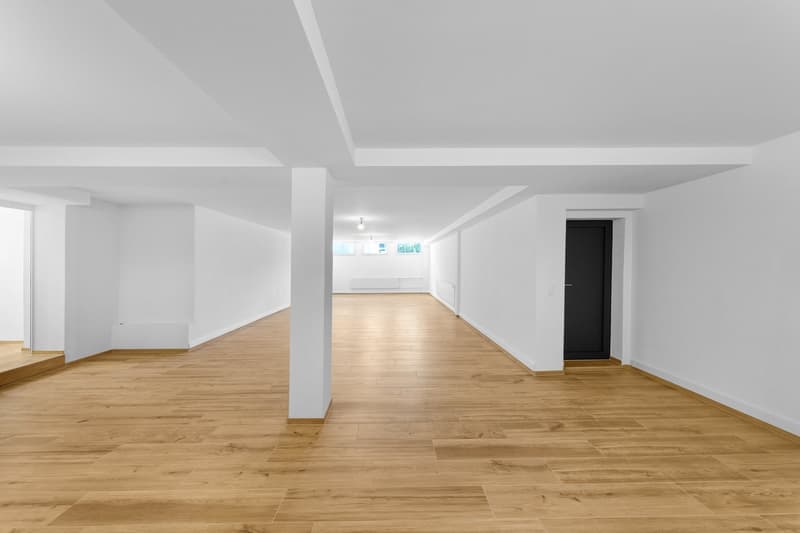 Versatile commercial property in the basement in Egnach (2)