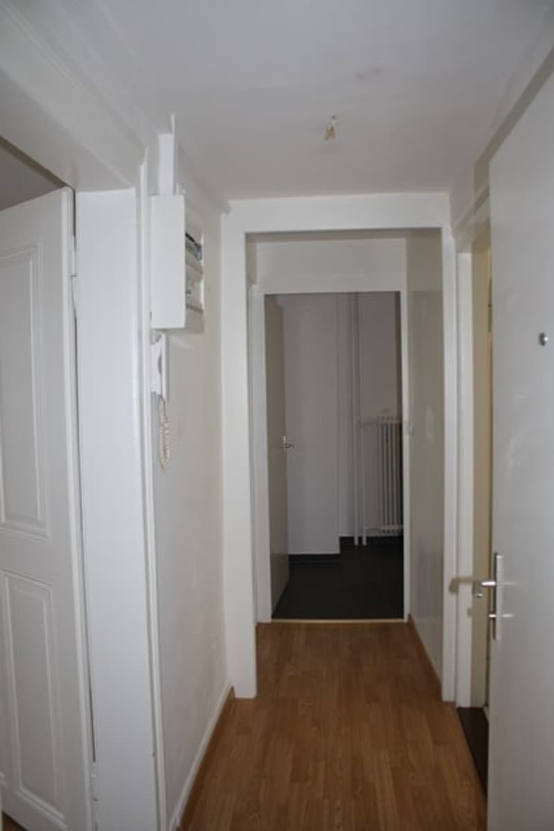 Bright 2-room apartment in a central location in St. Gallen (2)