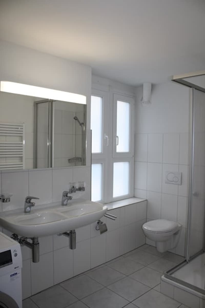 Bright 2-room apartment in a central location in St. Gallen (4)