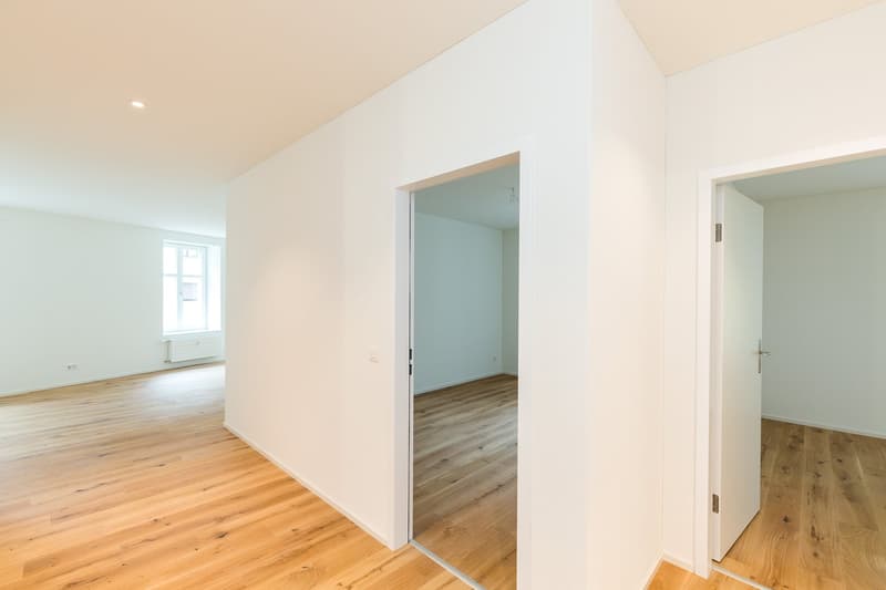 Charming 3.5-room old building apartment in Rorschach - directly on the lake (3)