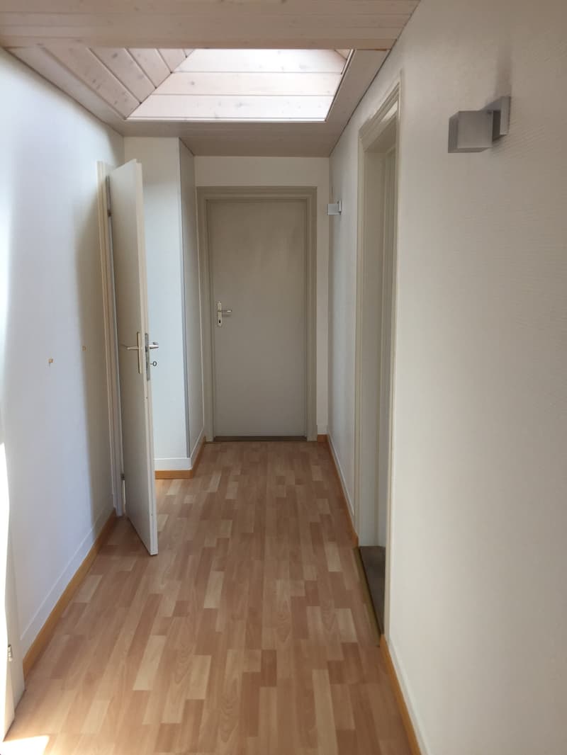 Dachwohnung mit Balkon in Arbon (3)