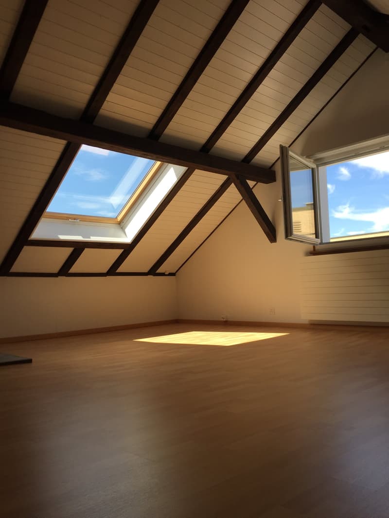 Dachwohnung mit Balkon in Arbon (2)