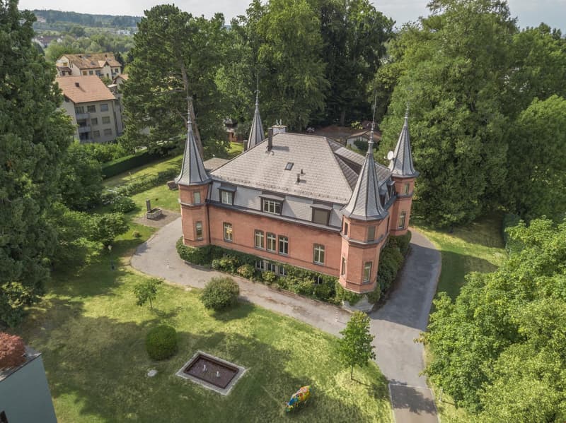 Schloss Luft-Ansicht