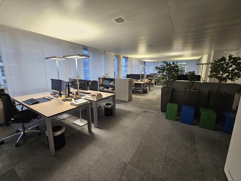 Subaffitto 2'000 m² di spazio ufficio pronto per l'occupazione e arredato (7)