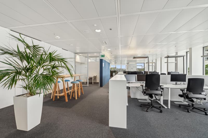 Office _ Beispielfoto aus dem 5.OG